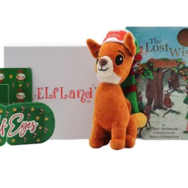 The Lost Wish Buddy Gift Box